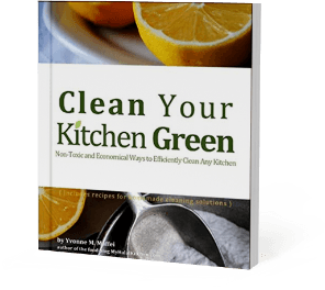 Clean Your Kitchen Green